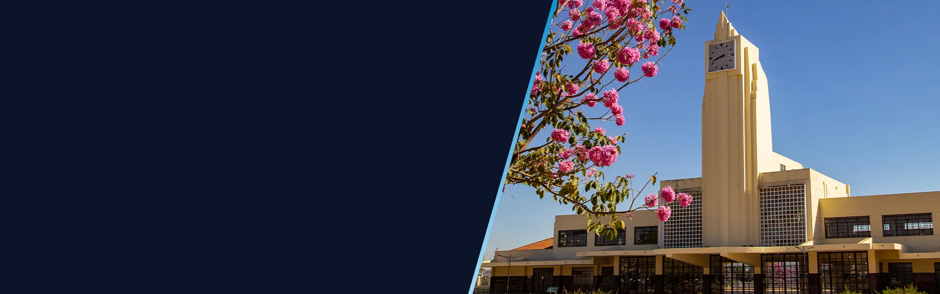 Internet banda larga com fibra em Goiânia.